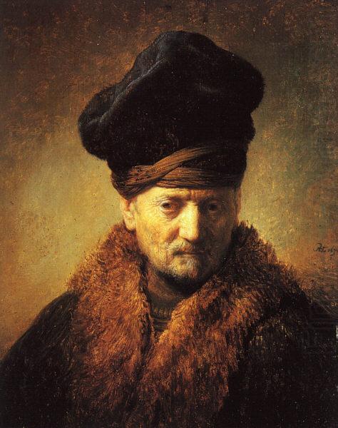 REMBRANDT Harmenszoon van Rijn Bust of an Old Man in a Fur Cap fj china oil painting image